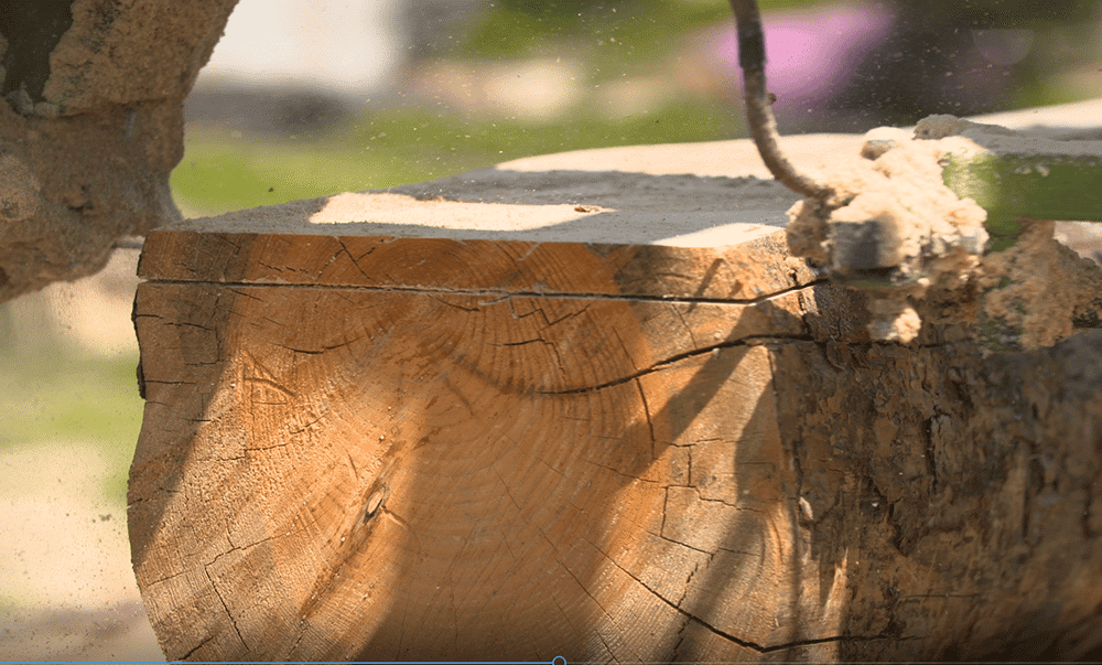 Holzbrett kaufen Eiche Massivholz Vollholz