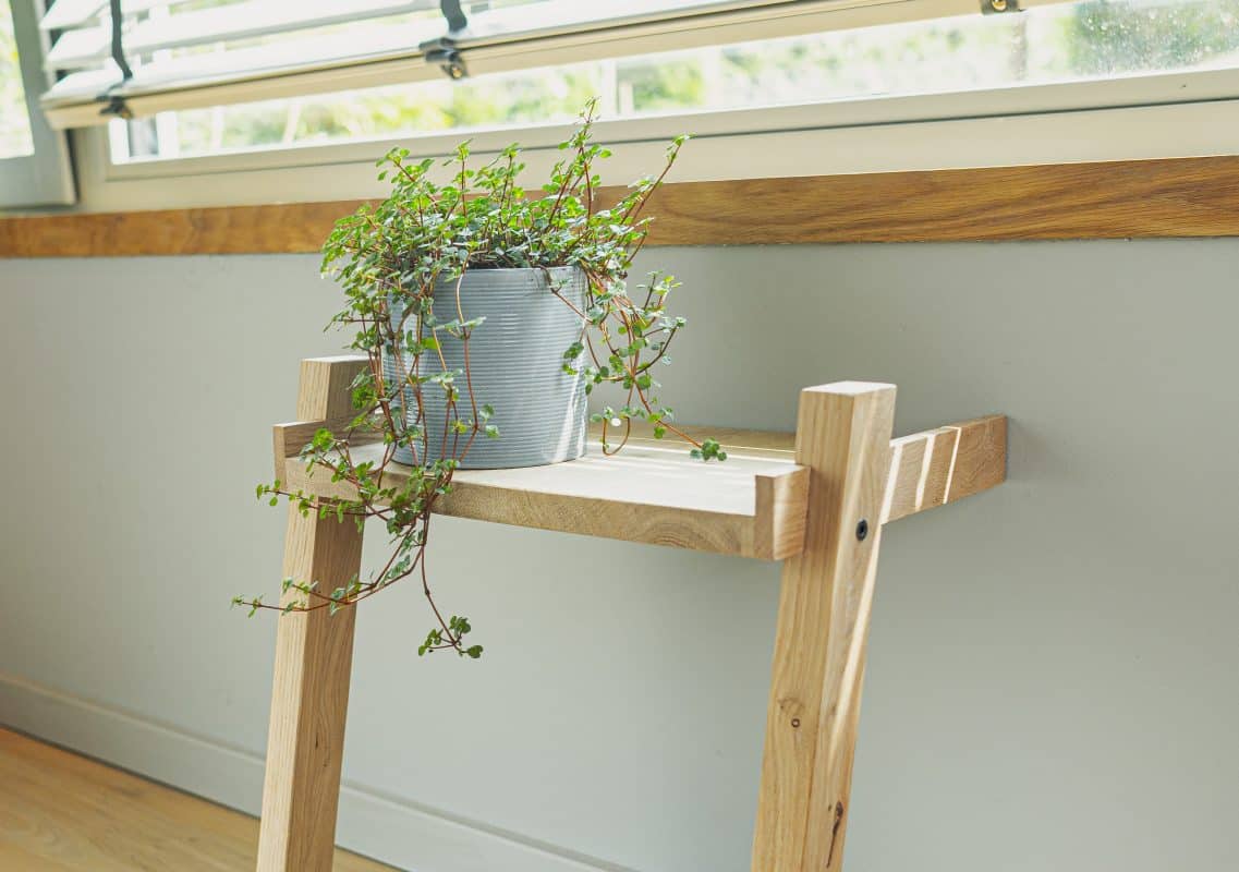Holzleiterregal mit grauem Blumentopf und grüner Hängepflanze.