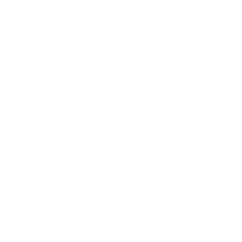 Lieferwagen Icon