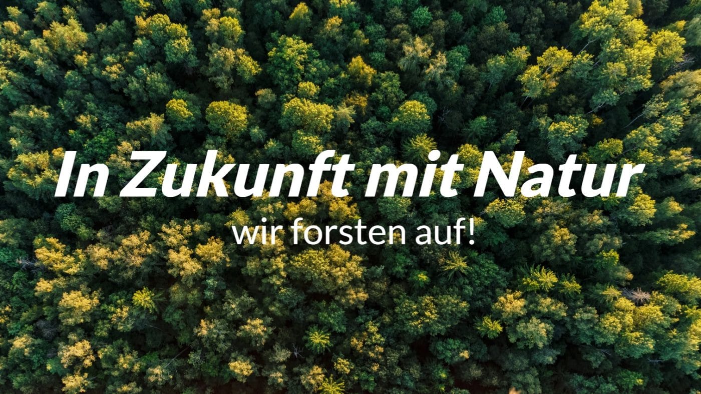 nachhaltiges Holz bei zuschnittprofi.mom