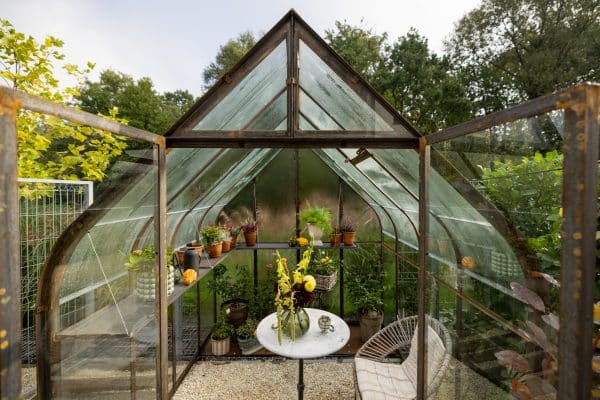Ein Gewächshaus aus Metall und ESG-Glas steht in einem grünen Gartenbereich.