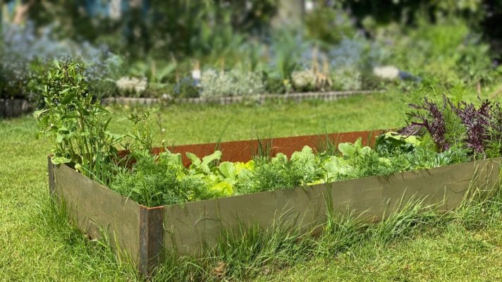 Kleines Hochbeet im Garten mit Salat