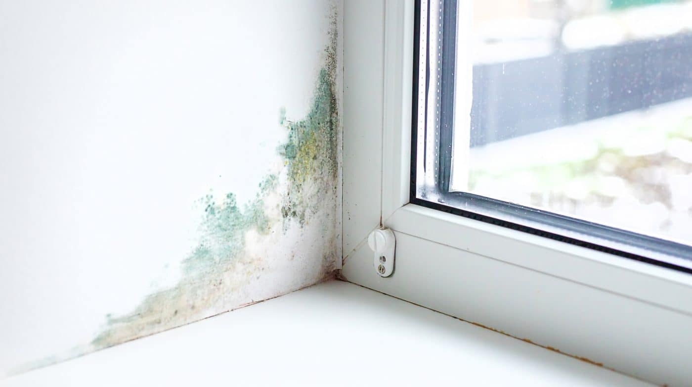 Schimmel an der Wand.