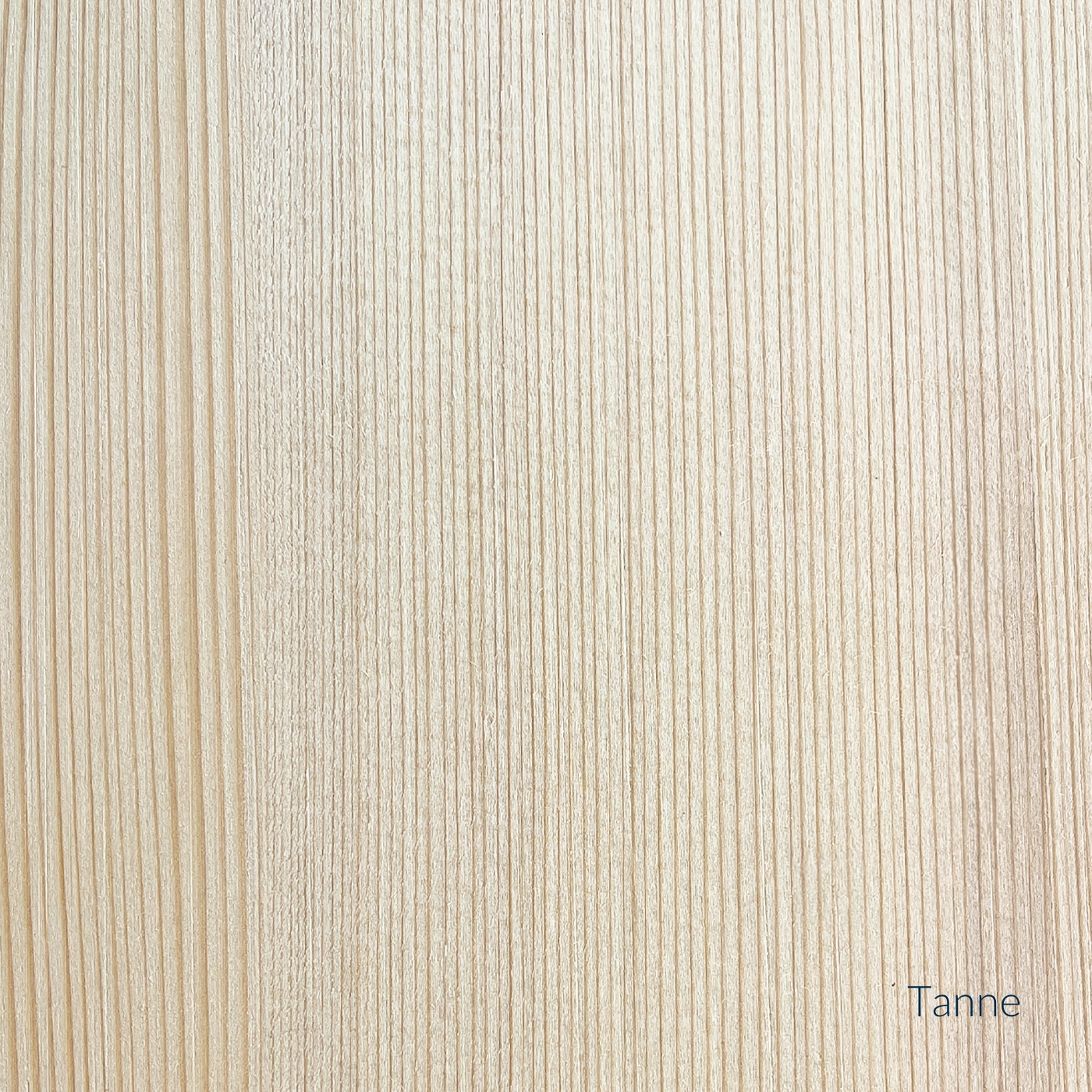Furnieroberfläche aus Tanne mit feiner, heller Maserung.