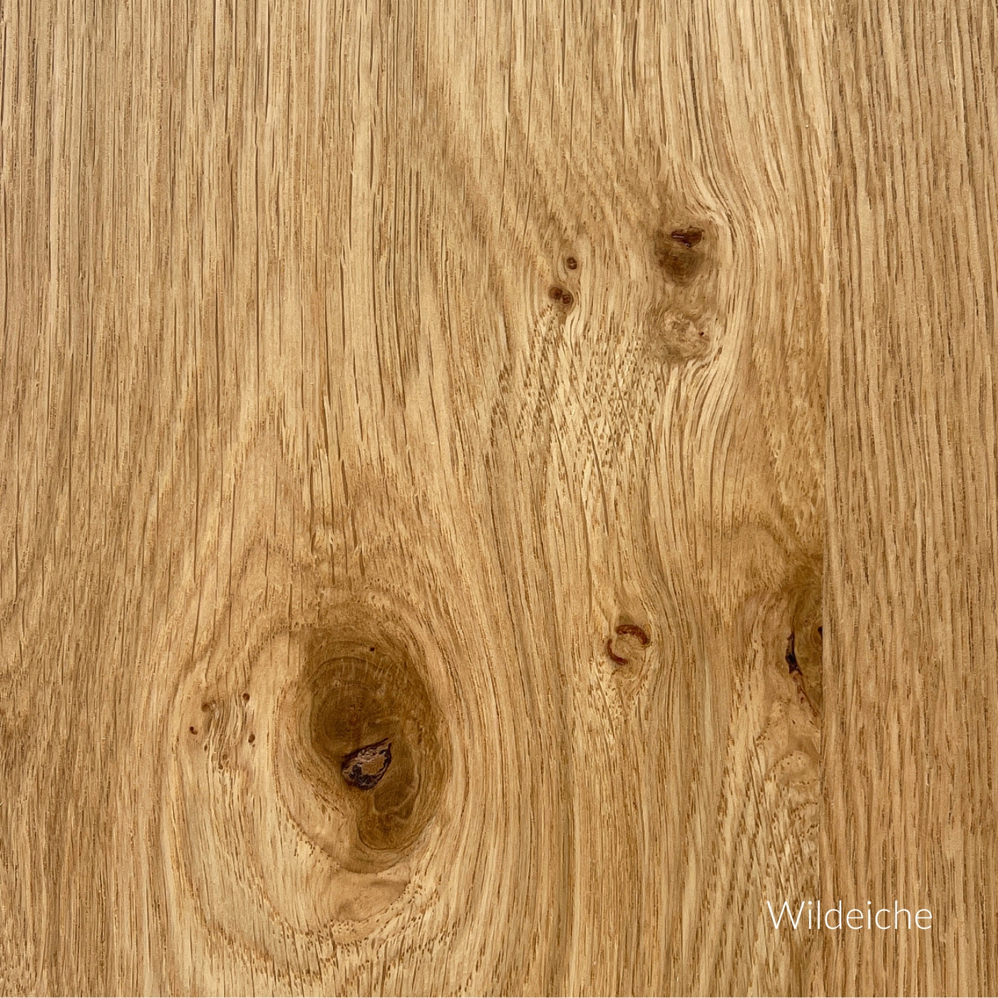 Furnieroberfläche aus Wildeiche mit feiner, sichtbarer Maserung.